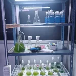 Algal setup